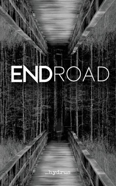 Cover for Hydrus · ENDroad (Paperback Bog) (2022)