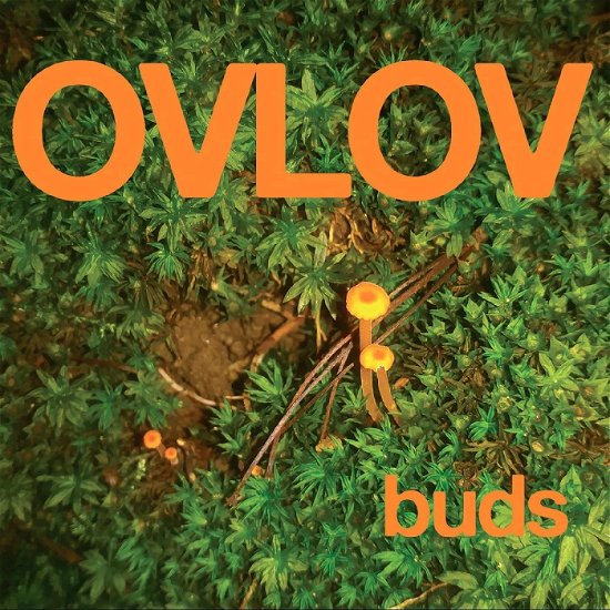Cover for Ovlov · Buds (LP) [Limited Green Vinyl edition] (2024)