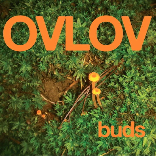 Buds - Ovlov - Music - EXPLODING IN SOUND RECORDS - 0843563169933 - January 5, 2024