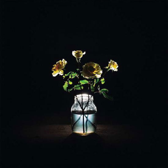 Renewal - Billy Strings - Music - CONCORD RECORDS - 0888072282933 - September 24, 2021