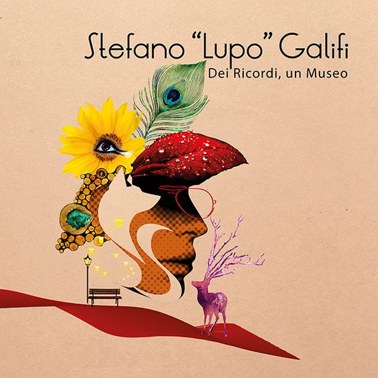 Cover for Stefano Lupo Galifi · Dei Ricordi Un Museo (CD) (2021)