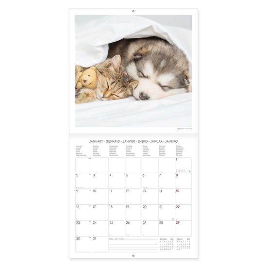 Legami · Best Friends Wall Calendar 2023 (Kalender) (2022)