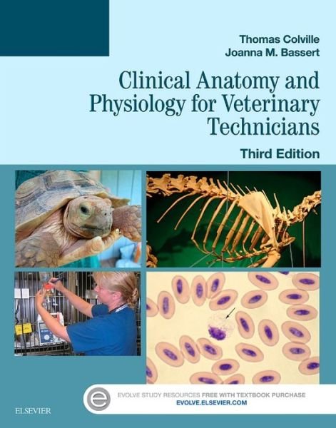 Cover for Colville, Thomas P. (Professor Emeritus &lt;br&gt;Department of Animal Sciences &lt;br&gt;North Dakota State University) · Clinical Anatomy and Physiology for Veterinary Technicians (Paperback Book) (2015)