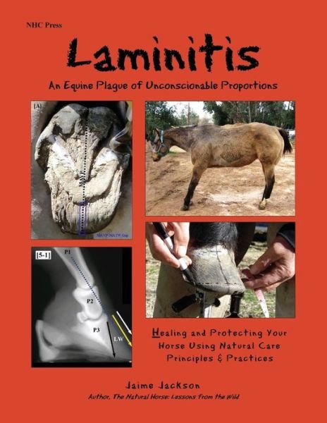 Cover for Jaime Jackson · Laminitis : An Equine Plague of Unconscionable Proportions (Paperback Book) (2016)