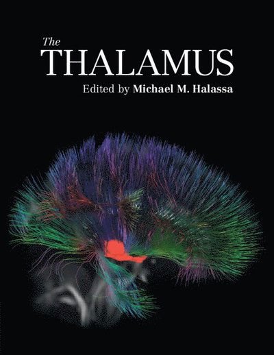 The Thalamus - - Books - Cambridge University Press - 9781108722933 - June 12, 2025