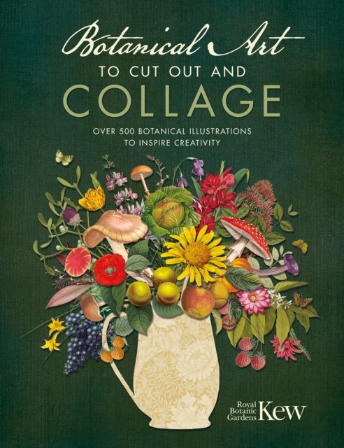 Botanical Art to Cut out and Collage - Kew Royal Botanic Gardens - Books - David & Charles - 9781446309933 - July 25, 2023