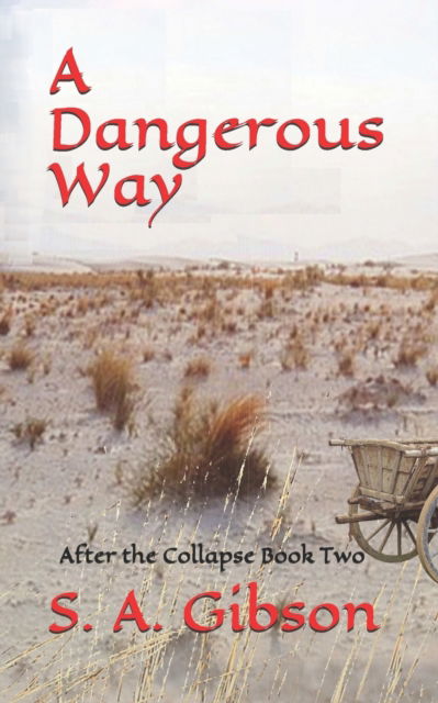 Cover for S a Gibson · A Dangerous Way (Pocketbok) (2014)