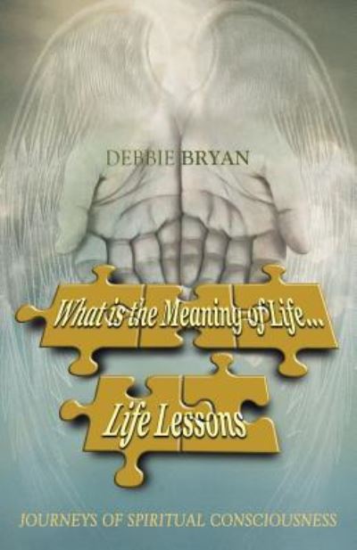 Cover for Debbie Bryan · What Is the Meaning of Life ... Life Lessons (Book) (2015)