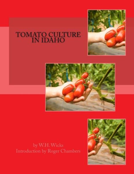 Cover for W H Wicks · Tomato Culture in Idaho (Taschenbuch) (2016)