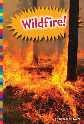 Cover for Elizabeth Raum · Wildfire! (Inbunden Bok) (2016)