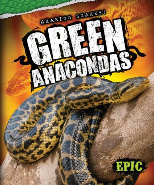 Cover for Emily Rose Oachs · Green Anacondas (Amazing Snakes!) (Hardcover Book) (2014)