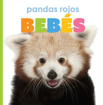 Cover for Kate Riggs · Pandas Rojos Bebés (Book) (2021)