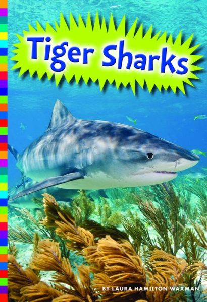 Cover for Laura Hamilton Waxman · Tiger Sharks (Book) (2016)