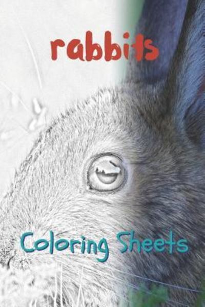 Rabbit Coloring Sheets - Julian Smith - Livros - Amazon Digital Services LLC - Kdp Print  - 9781797658933 - 20 de fevereiro de 2019