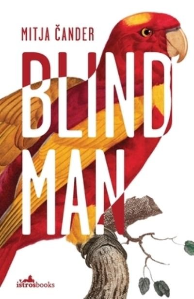 Cover for Mitija Cander · Blind Man (Paperback Book) (2021)