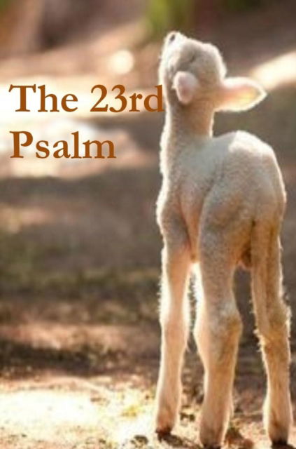 Cover for Terrie Sizemore · The 23rd Psalm (Hardcover Book) (2017)