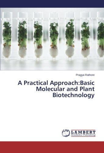 A Practical Approach:basic Molecular and Plant Biotechnology - Pragya Rathore - Książki - LAP LAMBERT Academic Publishing - 9783659129933 - 13 marca 2014