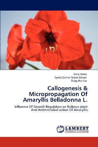 Shagufta Naz · Callogenesis & Micropropagation of Amaryllis Belladonna L.: Influence of Growth Regulators on Bulbous Plant and Antimicrobial Action of Amaryllis (Paperback Book) (2012)