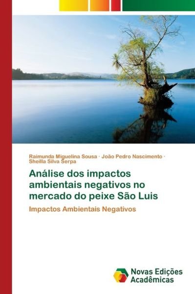Cover for Sousa · Análise dos impactos ambientais n (Bok) (2017)