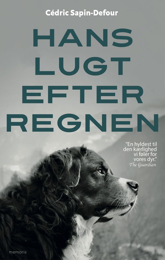Cover for Cédric Sapin-Defour · Hans lugt efter regnen (Heftet bok) [1. utgave] (2025)