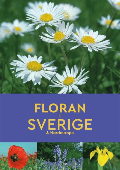 Floran i Sverige & Nordeuropa - Andrew Cleave - Kirjat - Tukan förlag - 9789177836933 - perjantai 24. toukokuuta 2019