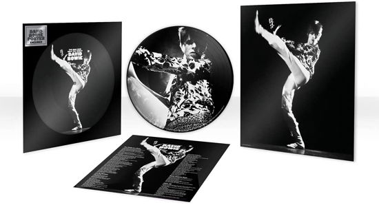 Cover for David Bowie · The Man Who Sold the World (Picture Disc) (LP) [Picture Disc edition] (2021)