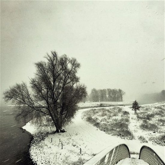 Beequeen · Winter (LP) (2020)