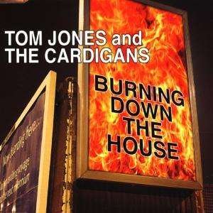 Burning Down. - Tom Jones & Cardigans - Musikk - V2 RECORDS - 5033197101934 - 2. september 1999