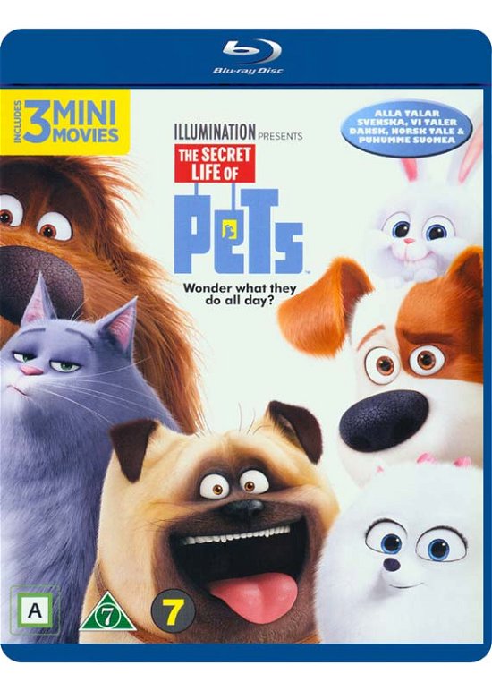 Cover for Secret Life of Pets / Kæledyrenes hemmelige liv (Blu-ray) (2019)