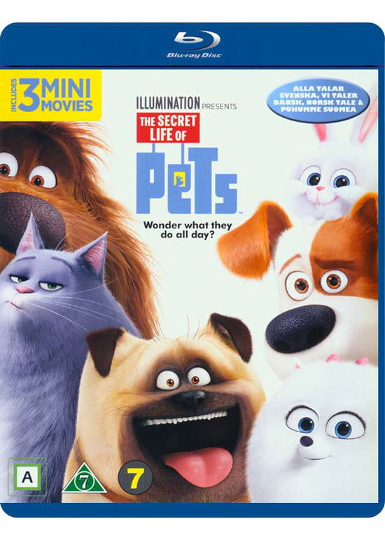 Secret Life of Pets / Kæledyrenes hemmelige liv -  - Elokuva -  - 5053083190934 - torstai 11. heinäkuuta 2019