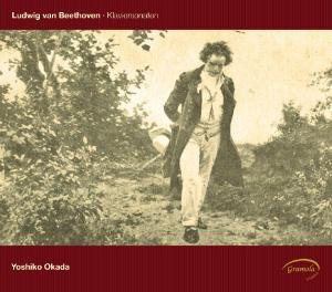 Cover for Beethoven / Okada · Piano Sonatas (CD) (2012)