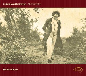 Piano Sonatas - Beethoven / Okada - Musiikki - Gramola - 9003643988934 - tiistai 8. toukokuuta 2012