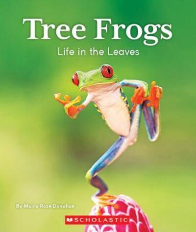 Cover for Moira Rose Donohue · Tree Frogs Life in the Leaves (Book) (2019)