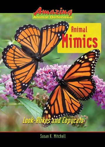 Cover for Susan K. Mitchell · Animal Mimics: Look-alikes and Copycats (Amazing Animal Defenses) (Hardcover Book) (2008)