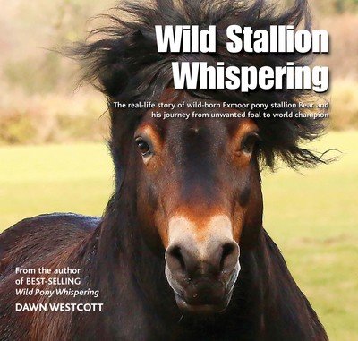 Cover for Dawn Westcott · Wild Stallion Whispering: The Real-Life Story of Wild-Born Exmoor Pony Stallion Bear and His Journey from Unwanted Foal to World Champion (Hardcover Book) (2016)