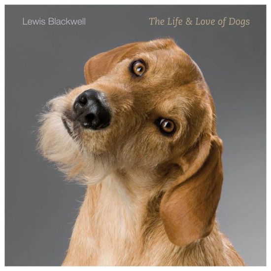 Cover for Lewis Blackwell · The Life and Love of Dogs (Hardcover Book) (2014)