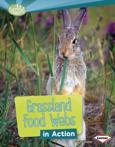 Cover for Paul Fleisher · Grassland Food Webs in Action (Searchlight Books) (Searchlight Books: What is a Food Web?) (Hardcover Book) (2013)