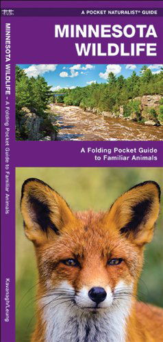 Cover for James Kavanagh · Minnesota Wildlife: a Folding Pocket Guide to Familiar Species (Pocket Naturalist Guide Series) (Pamphlet) [Lam Crds edition] (2017)