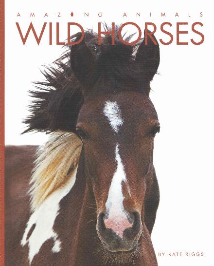 Cover for Kate Riggs · Amazing Animals: Wild Horses (Hardcover Book) (2015)