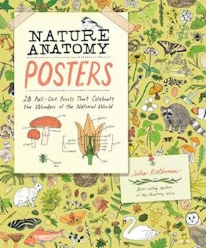 Cover for Julia Rothman · Nature Anatomy Posters: 28 Pull-Out Prints That Celebrate the Wonders of the Natural World (Taschenbuch) (2025)