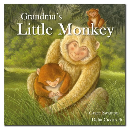 Cover for Gemma Cary · Grandma'S Little Monkey - Square Paperback Storybooks (Taschenbuch) [New edition] (2014)