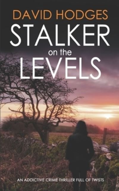 Cover for David Hodges · STALKER ON THE LEVELS an addictive crime thriller full of twists (Paperback Book) (2021)