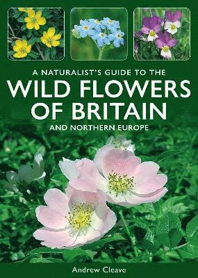 Cover for Andrew Cleave · A Naturalist's Guide to the Wild Flowers of Britain and Northern Europe - Naturalist's' Guides (Paperback Book) (2025)