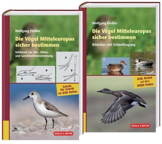 Cover for Fiedler · Die Vögel Mitteleuropas sicher (Bok)