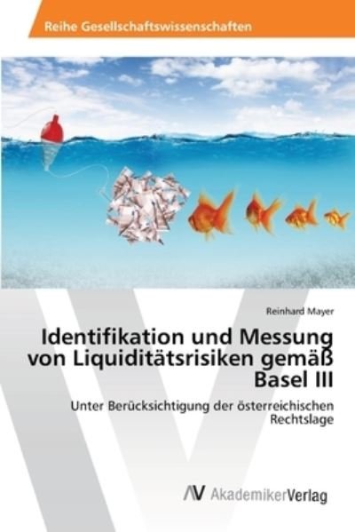 Cover for Mayer · Identifikation und Messung von Li (Bog) (2013)