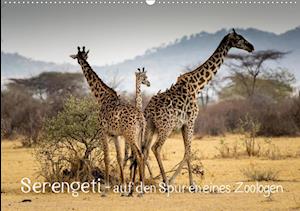 Serengeti - auf den Spuren eines Z - Maaß - Books -  - 9783672330934 - 