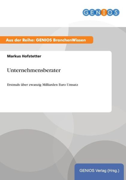 Cover for M Hofstetter · Unternehmensberater: Erstmals uber zwanzig Milliarden Euro Umsatz (Paperback Book) (2015)