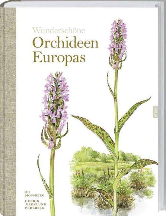 Cover for Mossberg · Orchideen Europas (Book)