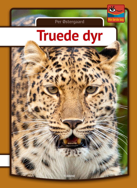 Min første bog: Truede dyr - Per Østergaard - Livros - Turbine - 9788740661934 - 8 de abril de 2020