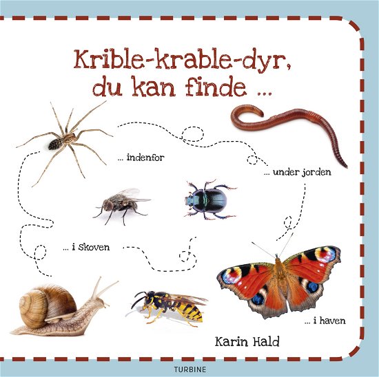Krible-krable-dyr, du kan finde - Karin Hald - Bøger - Turbine - 9788740687934 - 10. oktober 2022